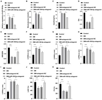 MicroRNA-195-5p Downregulation Inhibits Endothelial Mesenchymal Transition and Myocardial Fibrosis in Diabetic Cardiomyopathy by Targeting Smad7 and Inhibiting Transforming Growth Factor Beta 1-Smads-Snail Pathway